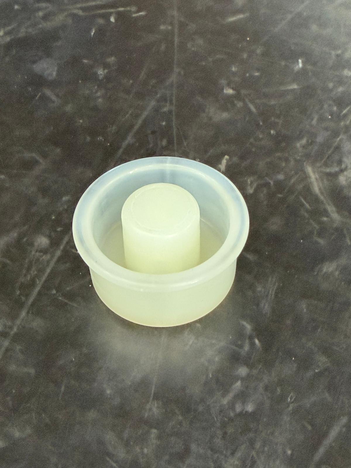 CN37525 PISTON STOP, CN70