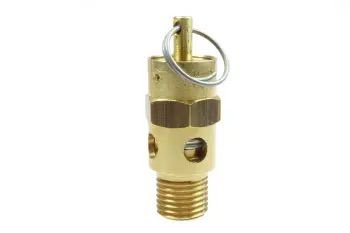 SV200 SAFETY VALVE 200PSI