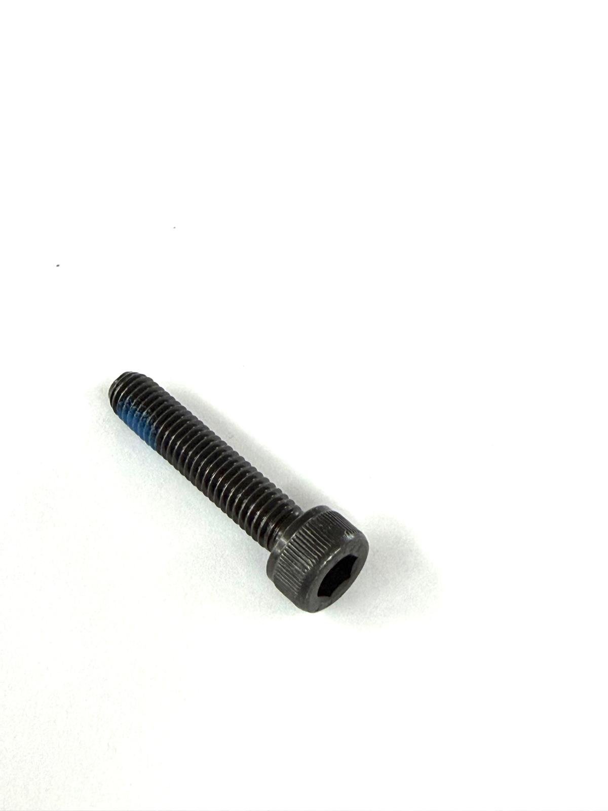 100127 OEM SCREW SOCKET HD M6*30