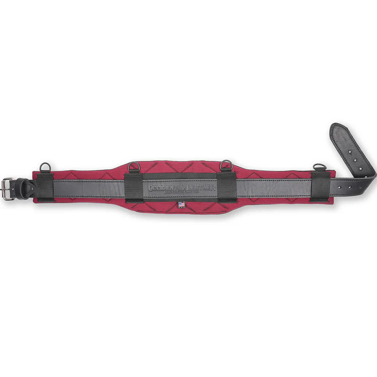 ProFORMANCE™ Belt Sku: 8025R SM